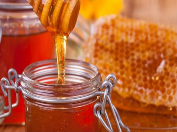 Kainchi العسل الحر